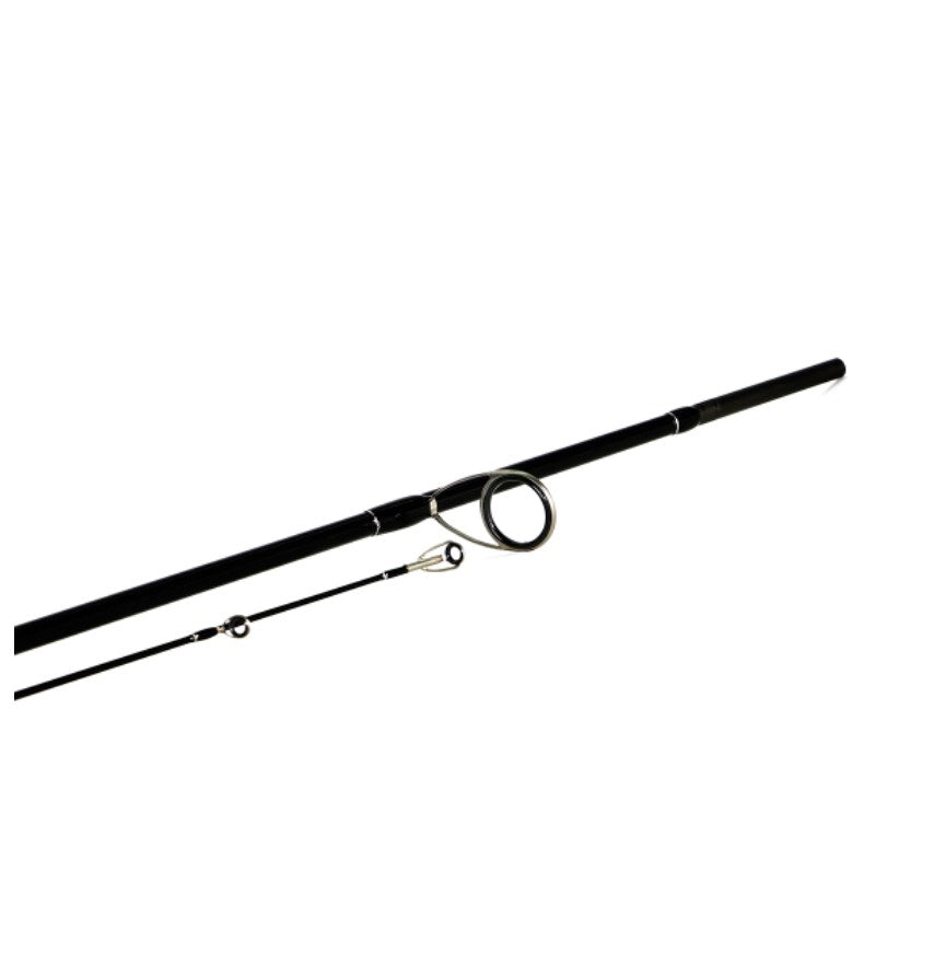 SHİMANO ROD BASSTERRA SPİN SEA BASS 2,90M 9'6" 15-60G 2PC