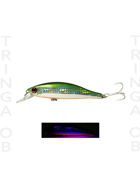 FUJİN T-REX 80S 11GR 80MM MAKET BALIK