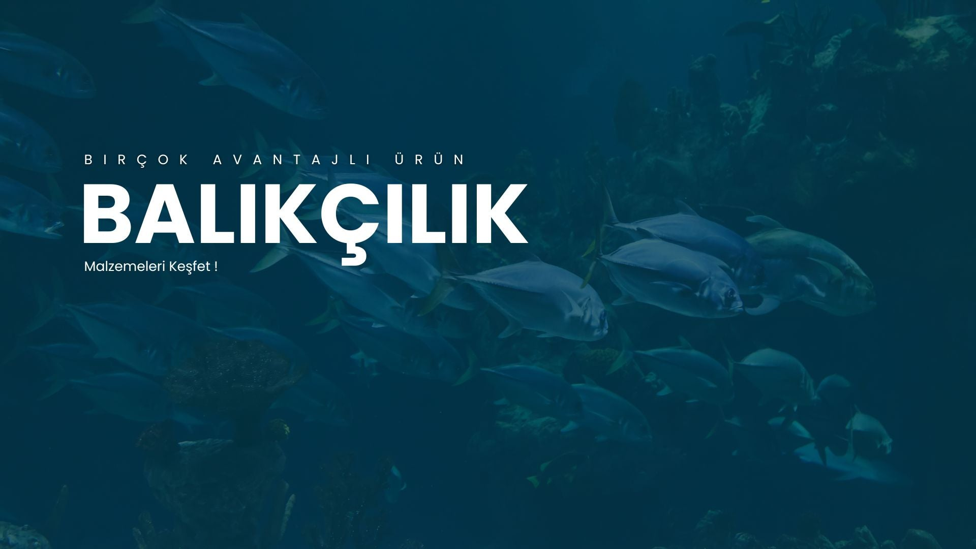 Balıkçılık