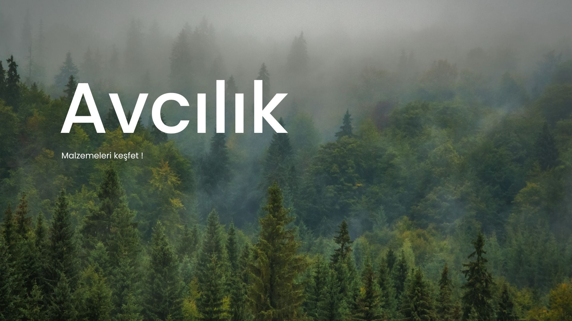 Avcılık