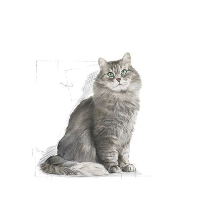 ROYAL CANIN SENSİBLE 33 YETİŞKİN KEDİ KURU MAMASI