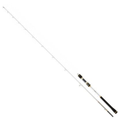 DAİWA NEW MEGAFORCE 2.10CM 90-210GR 2P JİG OLTA KAMIŞI MFJG210HSCF