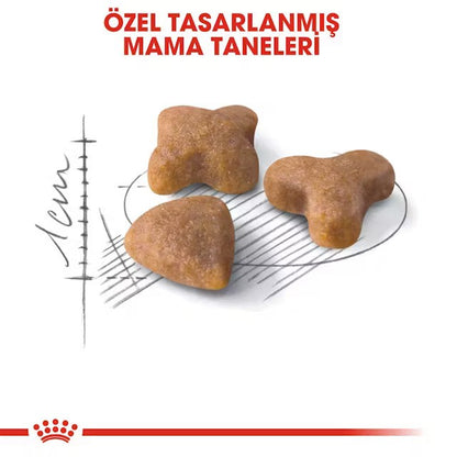 ROYAL CANIN SENSİBLE 33 YETİŞKİN KEDİ KURU MAMASI