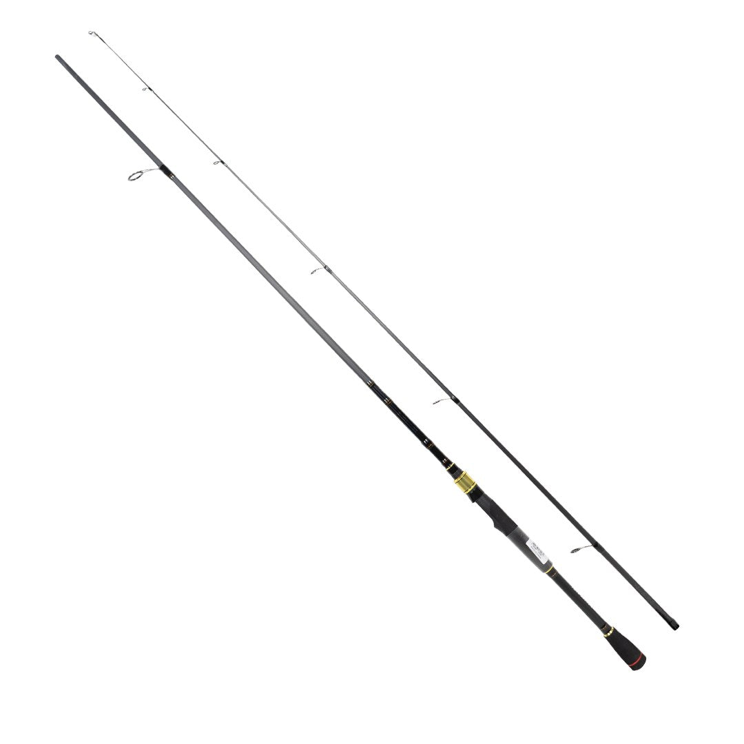 DAIWA RS 2,44M, 14-42GR, 2P KAMIŞ