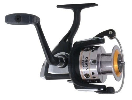 RYOBİ OASYS 6000