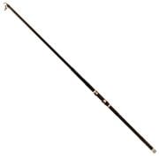 REMİXON FREE BİRD 3.00M 60-120GR TELE OLTA KAMIŞI